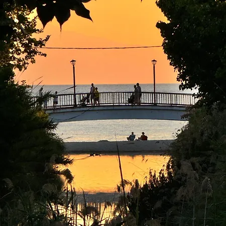 Siviris Golden 시비리